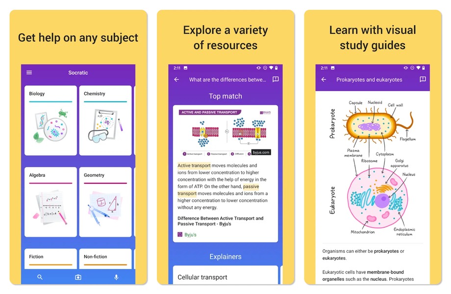 Socratic is your personal AI-powered assistant in any subject