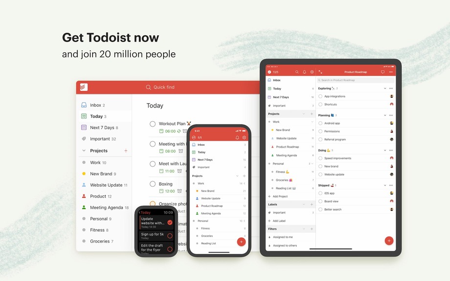 Todoist productivity app interface