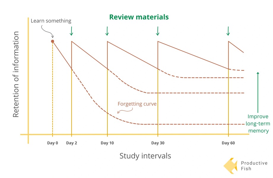 The orgetting curve of Ebbinghaus