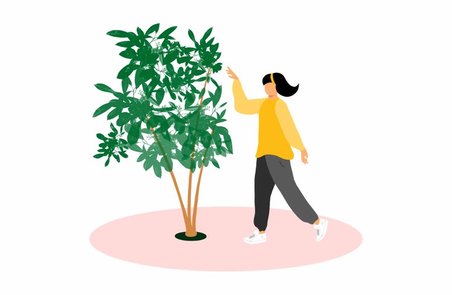 Illustration of person standing besides the tree